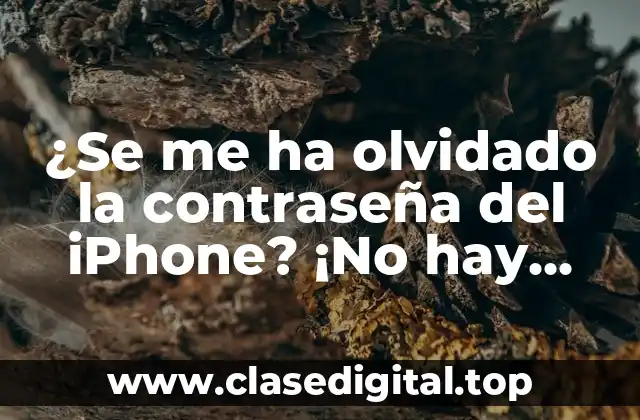 ¿Por qué es importante la seguridad de la contraseña de iPhone?