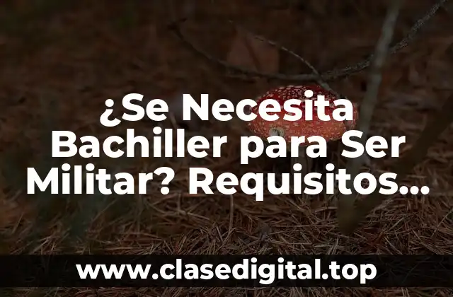 ¿Se Necesita Bachiller para Ser Militar? Requisitos para Ingresar en las Fuerzas Armadas