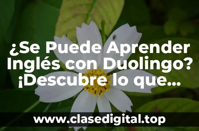 ¿Qué es Duolingo y Cómo Funciona?