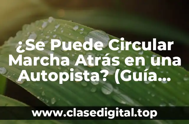 ¿Se Puede Circular Marcha Atrás en una Autopista? (Guía Completa y Actualizada)