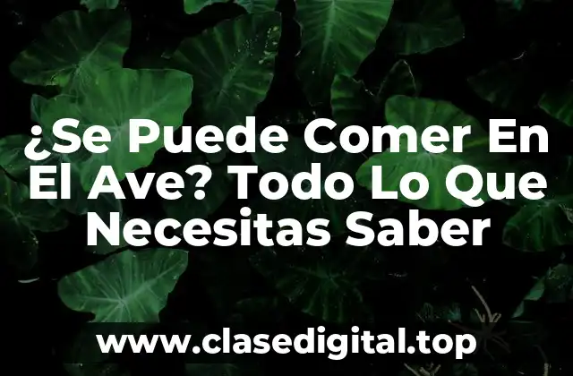 ¿Se Puede Comer En El Ave? Todo Lo Que Necesitas Saber