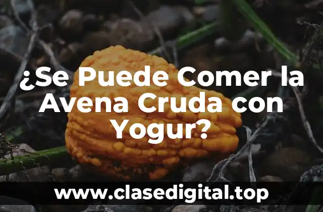 ¿Se Puede Comer la Avena Cruda con Yogur?