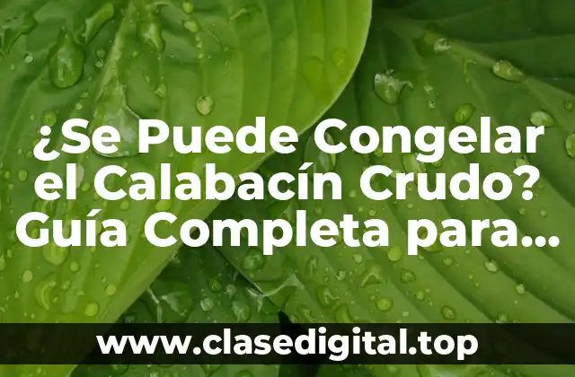 ¿Se Puede Congelar el Calabacín Crudo? Guía Completa para Congelar Calabacín