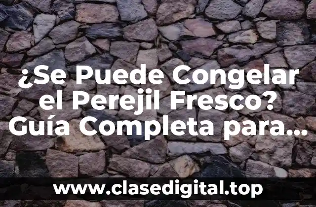 ¿Se Puede Congelar el Perejil Fresco? Guía Completa para Conservar Perejil