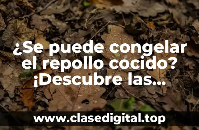 ¿Se puede congelar el repollo cocido? ¡Descubre las respuestas!