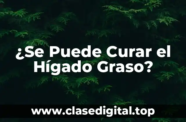 ¿Se Puede Curar el Hígado Graso?