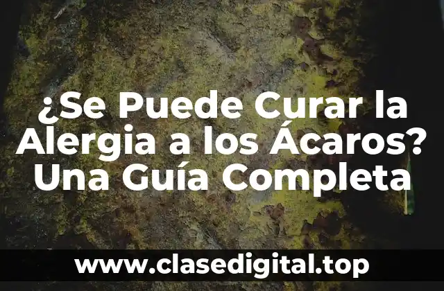 ¿Se Puede Curar la Alergia a los Ácaros? Una Guía Completa