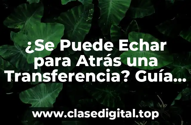 ¿Se Puede Echar para Atrás una Transferencia? Guía Completa