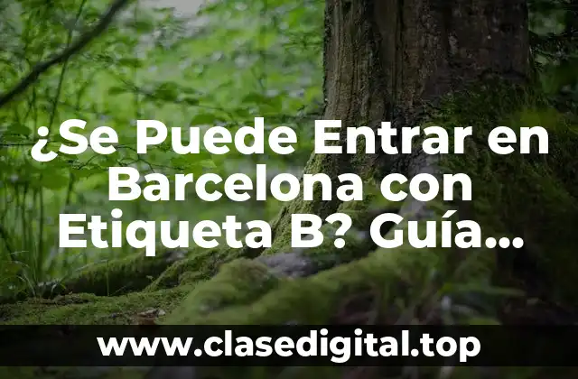 ¿Qué es la Etiqueta B?