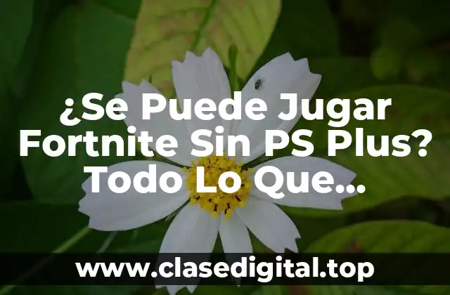 ¿Qué es PS Plus y por qué es necesario para jugar juegos en línea?