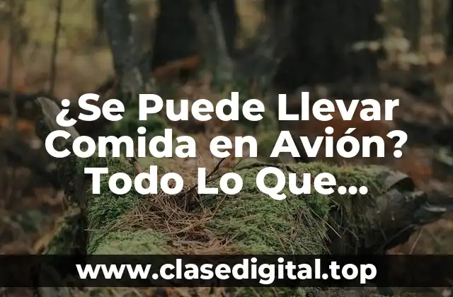 ¿Se Puede Llevar Comida en Avión? Todo Lo Que Necesitas Saber