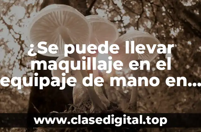 ¿Se puede llevar maquillaje en el equipaje de mano en vuelos?