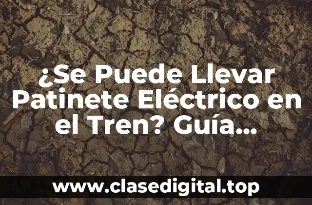 ¿Se Puede Llevar Patinete Eléctrico en el Tren? Guía Definitiva
