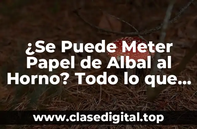 ¿Qué es el Papel de Albal?