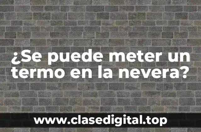 ¿Qué es un termo y cómo funciona?