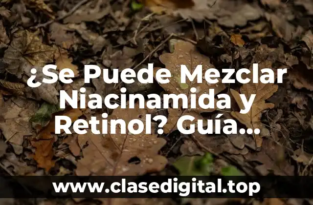 ¿Se Puede Mezclar Niacinamida y Retinol? Guía Completa para una Pieles Saludables