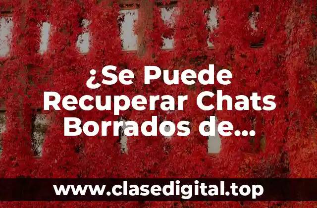 ¿Se Puede Recuperar Chats Borrados de WhatsApp?