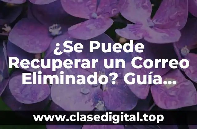 ¿Se Puede Recuperar un Correo Eliminado? Guía Completa