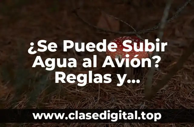 La Regulación de Líquidos en Aviones: Historia y Contexto