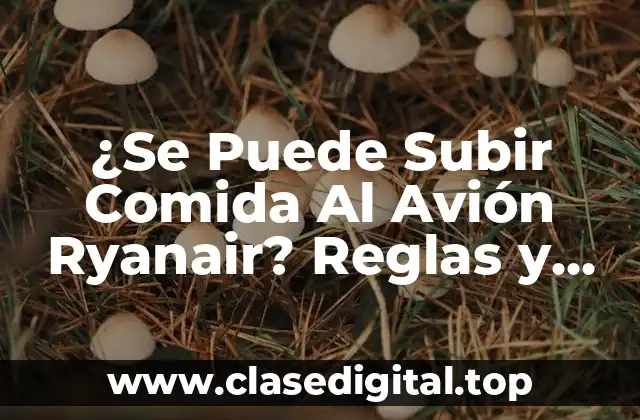 ¿Se Puede Subir Comida Al Avión Ryanair? Reglas y Restricciones
