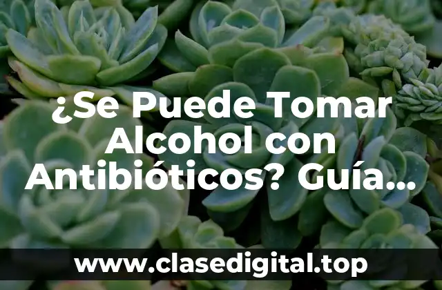 ¿Se Puede Tomar Alcohol con Antibióticos? Guía Completas y Segura