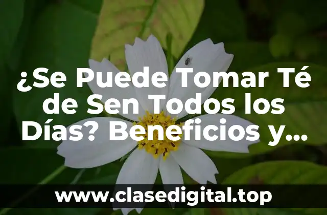 ¿Se Puede Tomar Té de Sen Todos los Días? Beneficios y Contraindicaciones