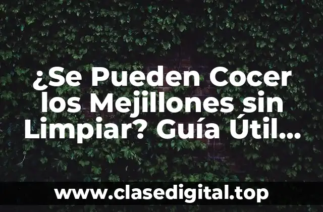 ¿Se Pueden Cocer los Mejillones sin Limpiar? Guía Útil para Cocinar Mejillones