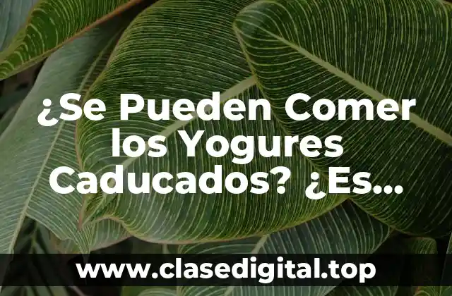 ¿Se Pueden Comer los Yogures Caducados? ¿Es Seguro o No?