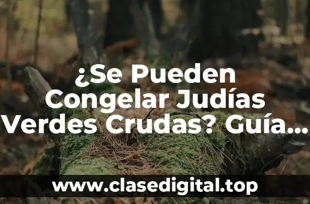 ¿Se Pueden Congelar Judías Verdes Crudas? Guía Completa