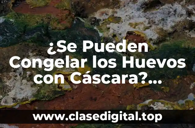 ¿Se Pueden Congelar los Huevos con Cáscara? Análisis Detallado