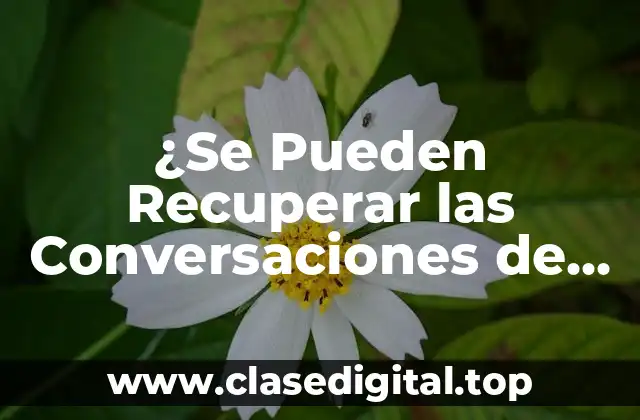 ¿Se Pueden Recuperar las Conversaciones de WhatsApp? ¡Descubre la Verdad!