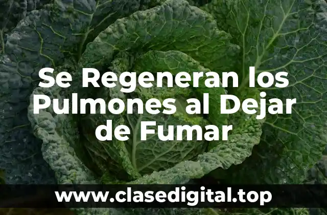 Se Regeneran los Pulmones al Dejar de Fumar