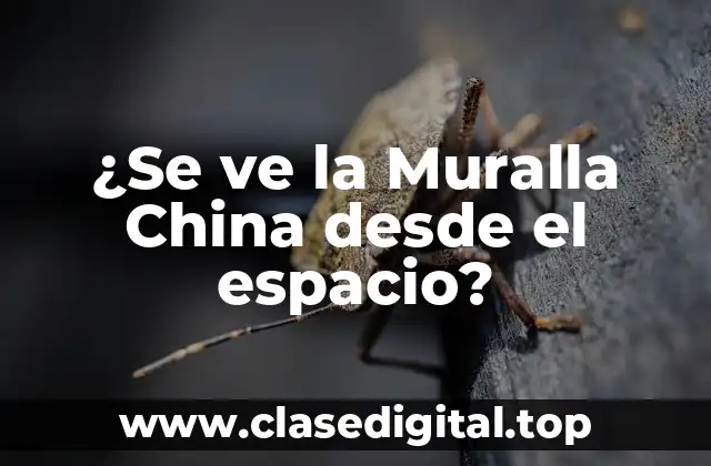 ¿Se ve la Muralla China desde el espacio?