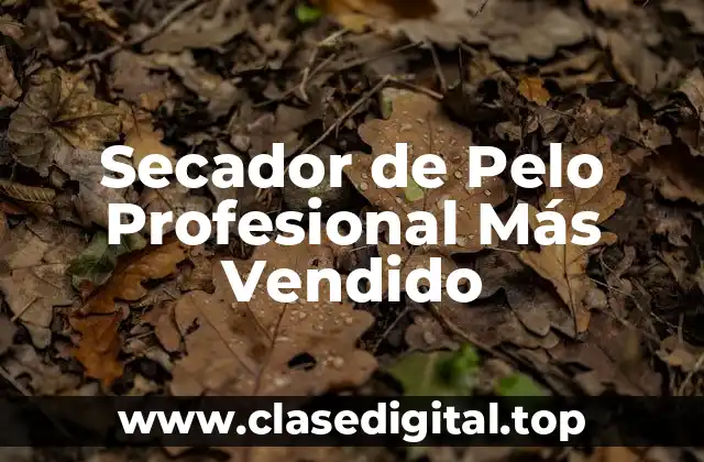 Secador de Pelo Profesional Más Vendido