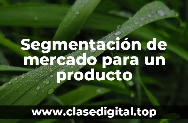 Segmentación de mercado para un producto