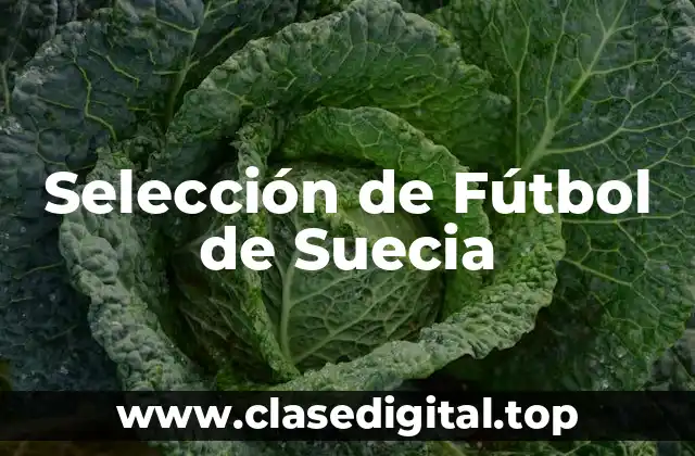 Selección de Fútbol de Suecia