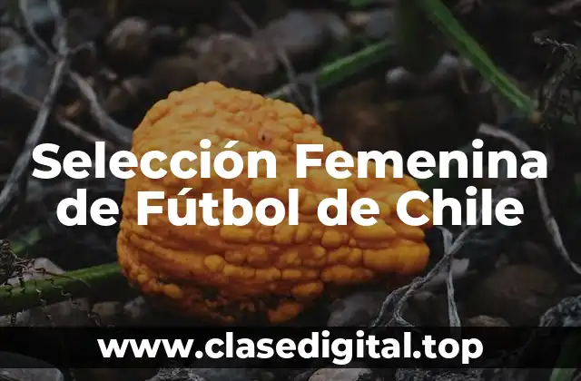 Selección Femenina de Fútbol de Chile