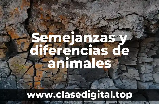 Semejanzas y diferencias de animales