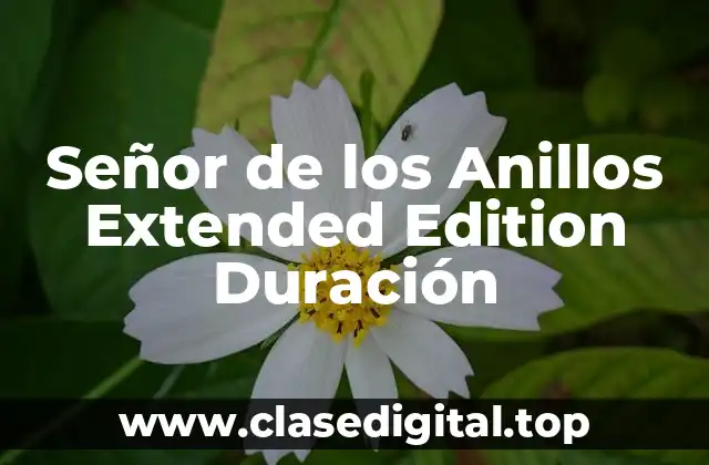 Señor de los Anillos Extended Edition Duración