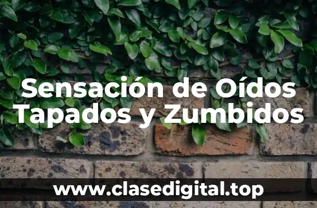 Sensación de Oídos Tapados y Zumbidos