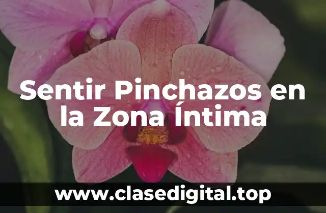 Sentir Pinchazos en la Zona Íntima