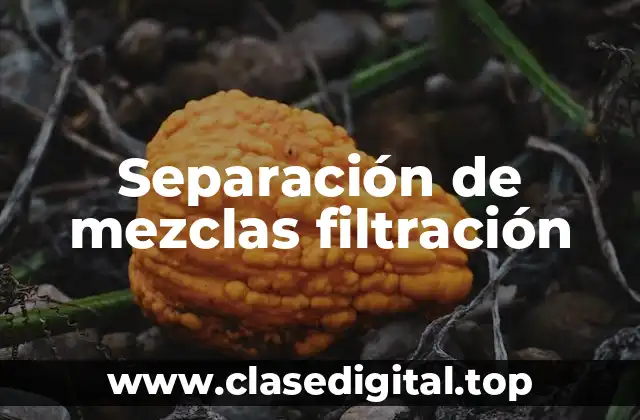 Ejemplos de separación de mezclas filtración