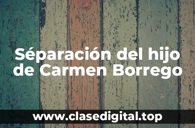 Séparación del hijo de Carmen Borrego