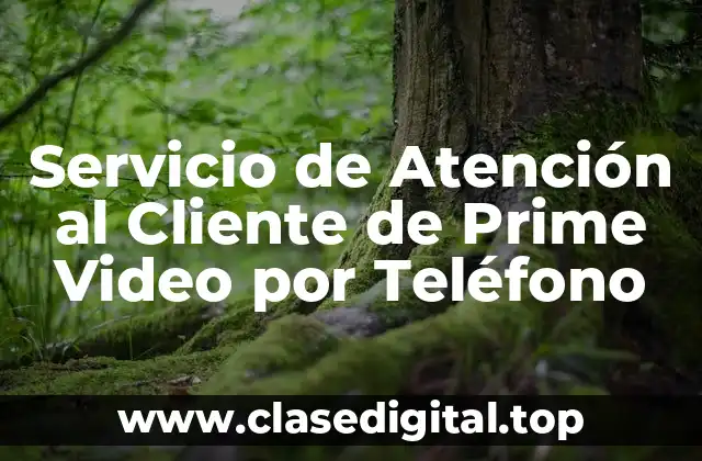 ¿Por qué es Importante el Servicio de Atención al Cliente de Prime Video por Teléfono?