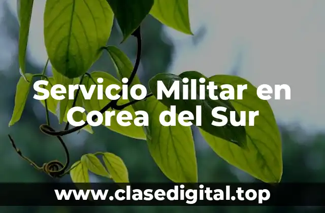 Servicio Militar en Corea del Sur