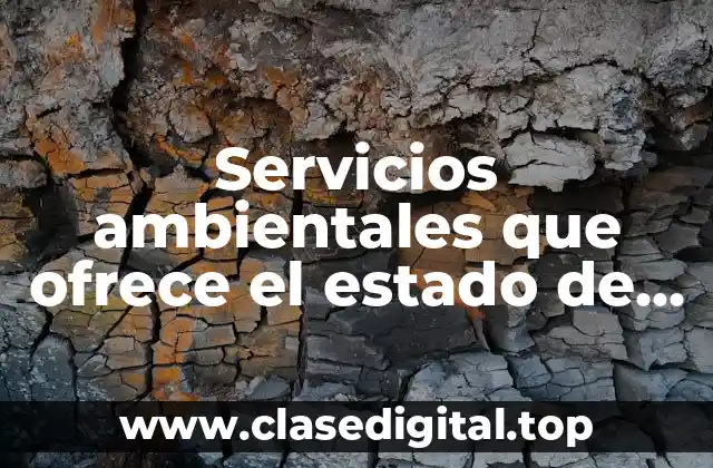 Servicios ambientales que ofrece el estado de Durango