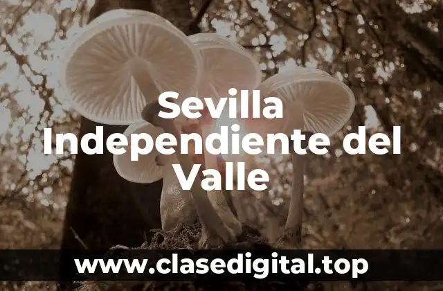 Sevilla Independiente del Valle