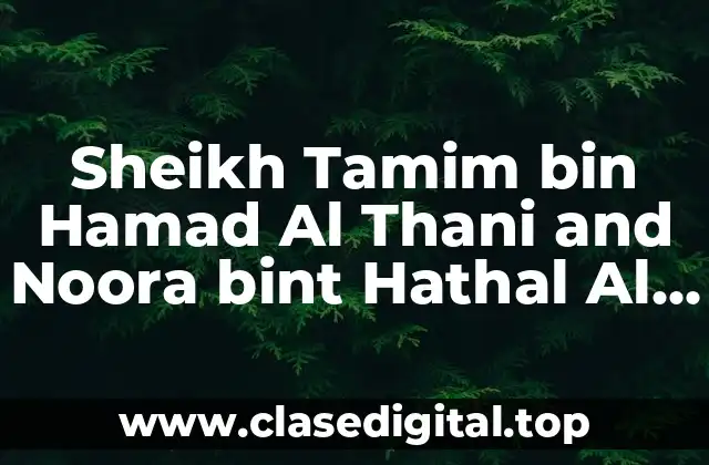 Sheikh Tamim bin Hamad Al Thani: Biografía y trayectoria política