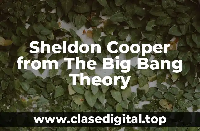 Sheldon Cooper from The Big Bang Theory