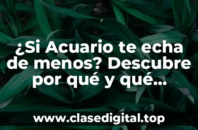 ¿Si Acuario te echa de menos? Descubre por qué y qué puedes hacer